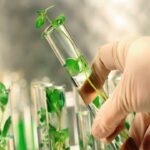 Colaboración entre instituciones investigativas fortalece intercambio científico–técnico.