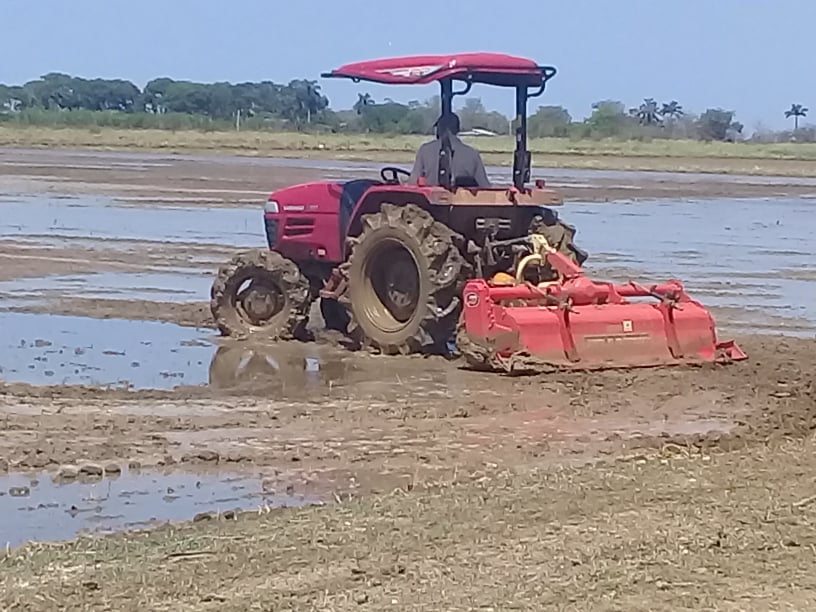 Introducen nueva tecnología para la siembra de arroz en Mayabeque.