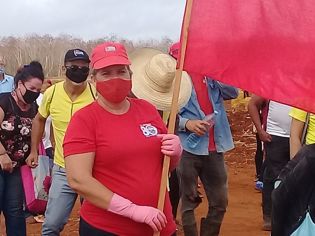 Los jóvenes predominan entre los trabajadores de la apicultura en Mayabeque.