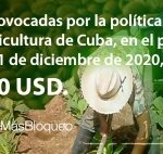 El bloqueo afecta también a la agricultura.