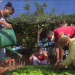 Capacitan a campesinos de Madruga para incrementar producci&oacute;n de alimentos  (+ Audio)