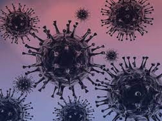 Insta Viceministra de Salud a ser proactivos ante la pandemia.