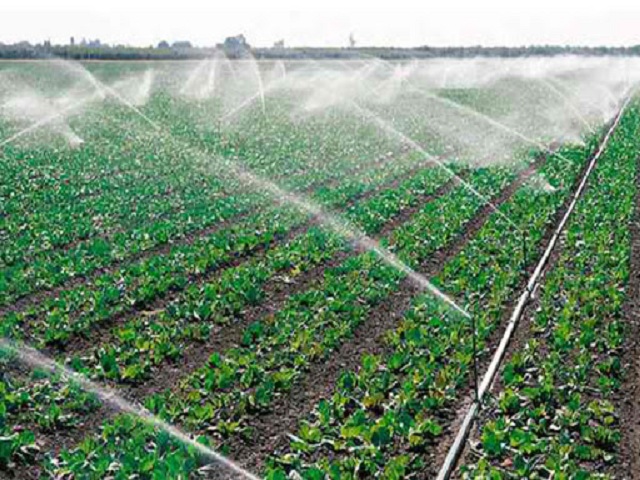 Exhortan en Madruga a explotar potencialidades agropecuarias.