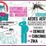 Hagamos de estos meses s&oacute;lo tiempo de lluvia, no de mosquitos