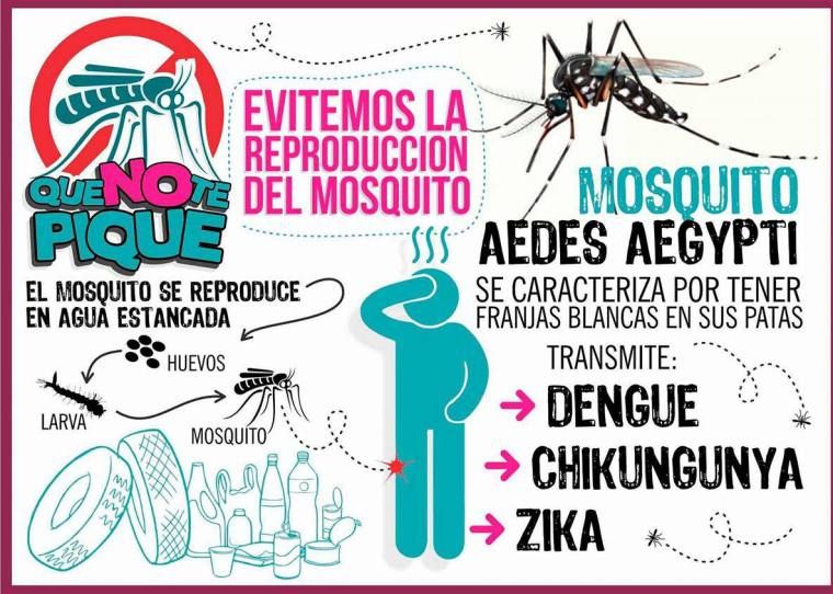 Hagamos de estos meses sólo tiempo de lluvia, no de mosquitos.