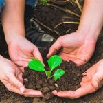 Proteger la naturaleza es responsabilidad de todos