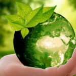 Día del medio ambiente
