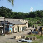 Successful harvest of the self-supply module in Jaruco mining entity