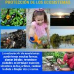 Un compromiso con la vida (Infografía)