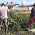 President of the Municipal Defense Council verified organizational actions in San José de Las Lajas.