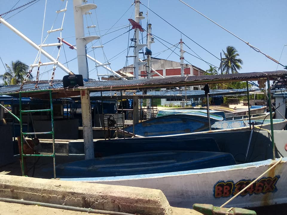 En Batabanó: medidas preventivas ante amenaza de Tormenta Tropical Elsa.