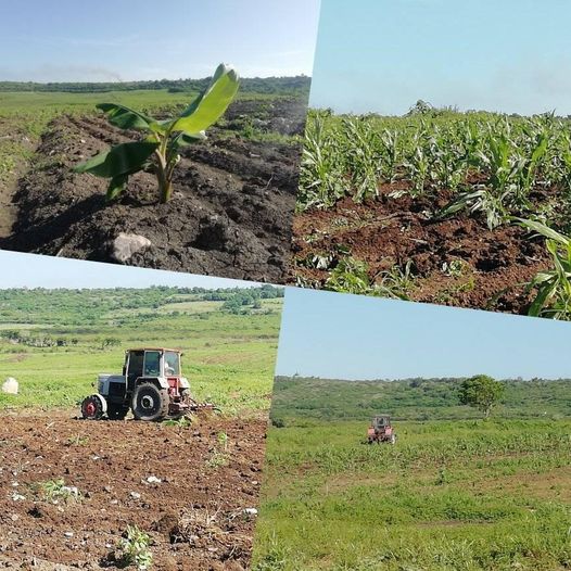 A favor del desarrollo agrícola.