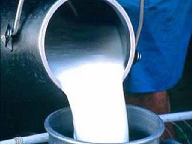 Delivery of milk to the industry is stable in Batabanó.