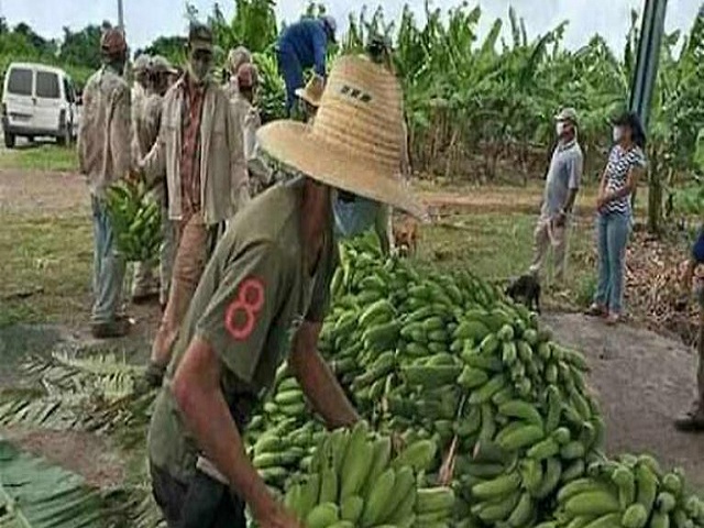 Cuba avanza en la recuperación tras tormenta tropical Elsa.