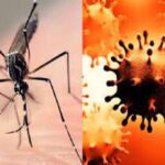 Health investigation is activated in Güines for the prevention of Covid-19 and arboviruses.