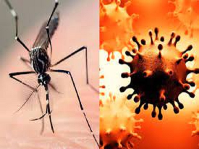 Health investigation is activated in Güines for the prevention of Covid-19 and arboviruses.