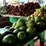 Apoyan suministro agrícola para la población de San Nicolás