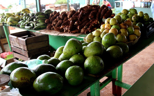 Las cooperativas proporcionan cultivos a los puntos de venta ubicados en áreas urbanas y rurales. Foto: Cubadebate