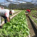 In favor of local self-sufficiency.