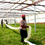 Mejora calidad de servicios a productores casa de tapado de Quivicán