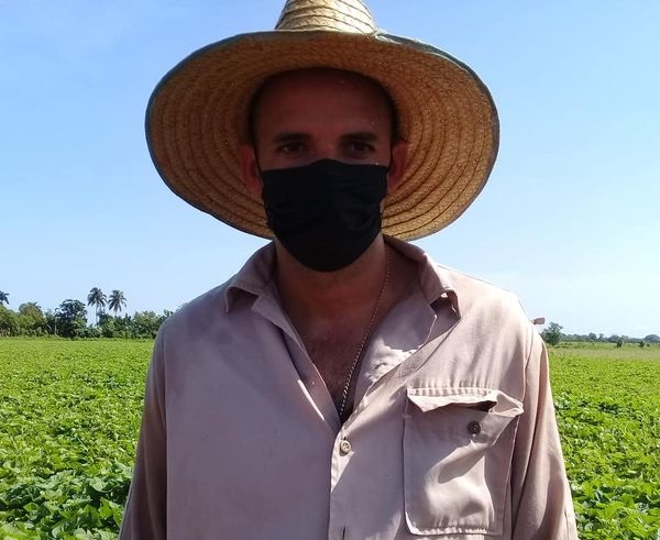 Joven agricultor Yorlandys Díaz Cabrera