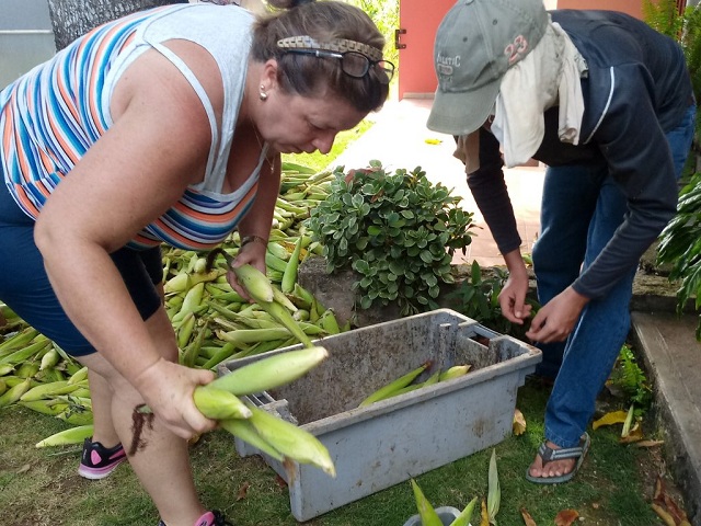 he donation include ocassion products like corn.