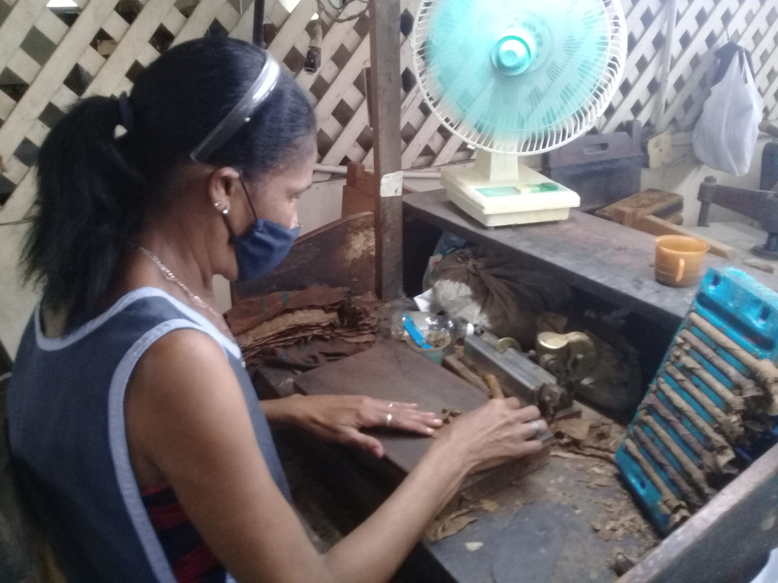 Leticia Amore, mayor productora de tabacos en la Fábrica Juan Martínez Carballea, de Güines.