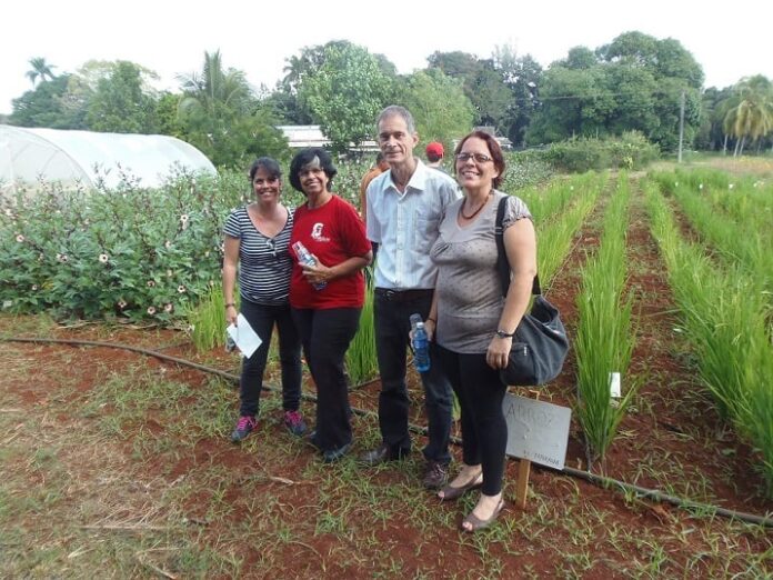 Organismo Internacional de Energía Atómica reconoce labor de centro científico de Mayabeque.