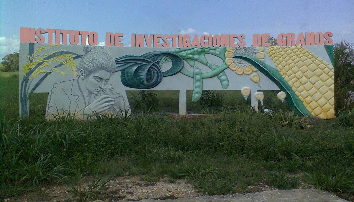 Instituto de Investigaciones de Granos.