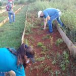 Unión de Jóvenes Comunistas en labores productivas