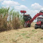 Jornada por Día del Trabajador Azucarero en Madruga (+Audio)