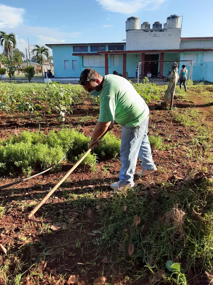 Realizan trabajo productivo en el Círculo Infantil Víctor González