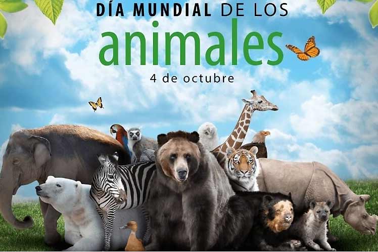 Día Mundial de los Animales