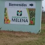 Farmers from Melena del Sur increase the delivery of food for social consumption