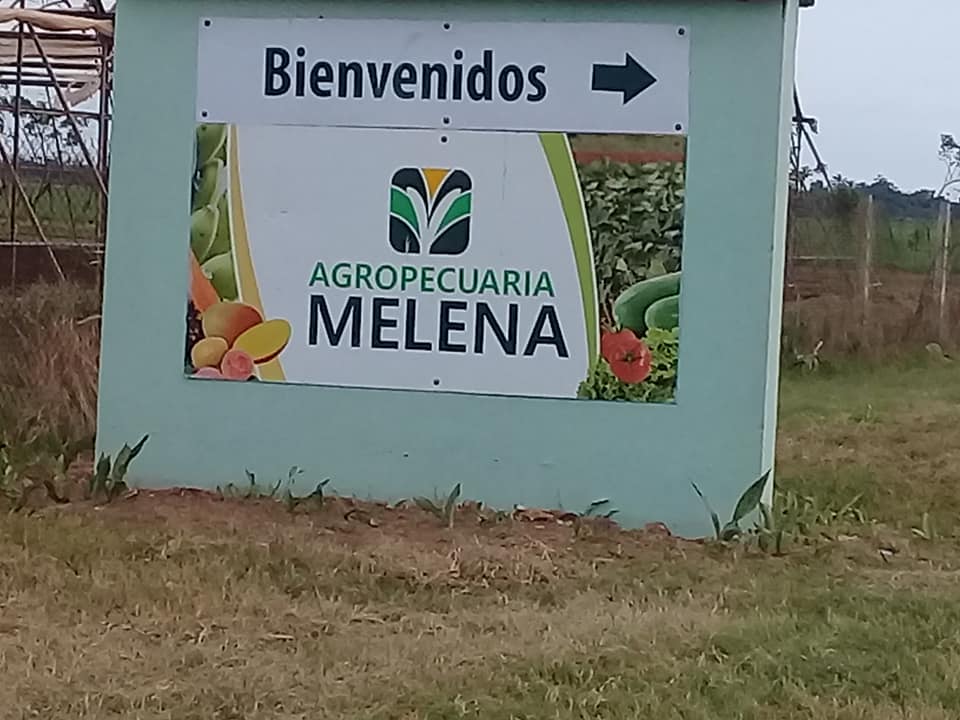 Farmers from Melena del Sur increase the delivery of food for social consumption.