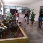 Reabrirá sus puertas Círculo Infantil Renovadores de Sueños