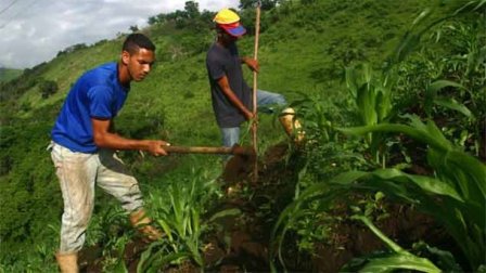 Reforma agraria: la ley que transformó a Cuba.