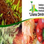 Instituto de Investigaciones Hortícolas Liliana Dimitrova: medio siglo de creado (+Audio)