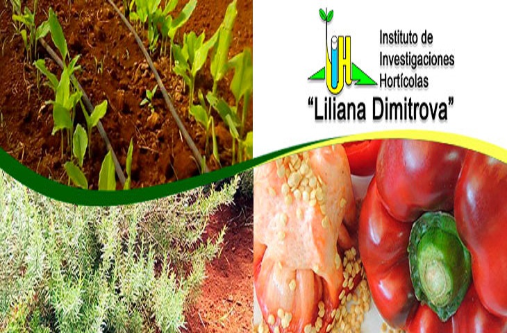 Instituto de Investigaciones Hortícolas Liliana Dimitrova: medio siglo de creada.