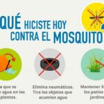 Anti-vector campaign is being developed in Mayabeque.