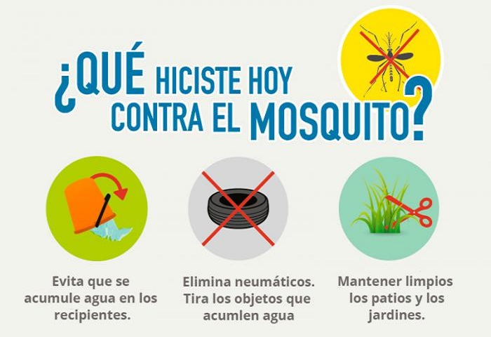 Anti-vector campaign is being developed in Mayabeque.
