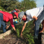 Realizar&aacute;n trabajo voluntario masivo en San Nicol&aacute;s