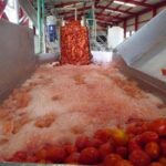 Nueva etapa de reparaciones en F&aacute;brica de Conservas de Bataban&oacute;