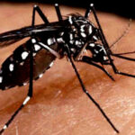 Sanitation actions against the threat of Aedes Aegypti in Bejucal