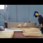 Health and safety protocols at work update in Batabanó
