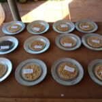 Cultivarán en Mayabeque nuevas variedades de soya y frijol de mayor calidad.