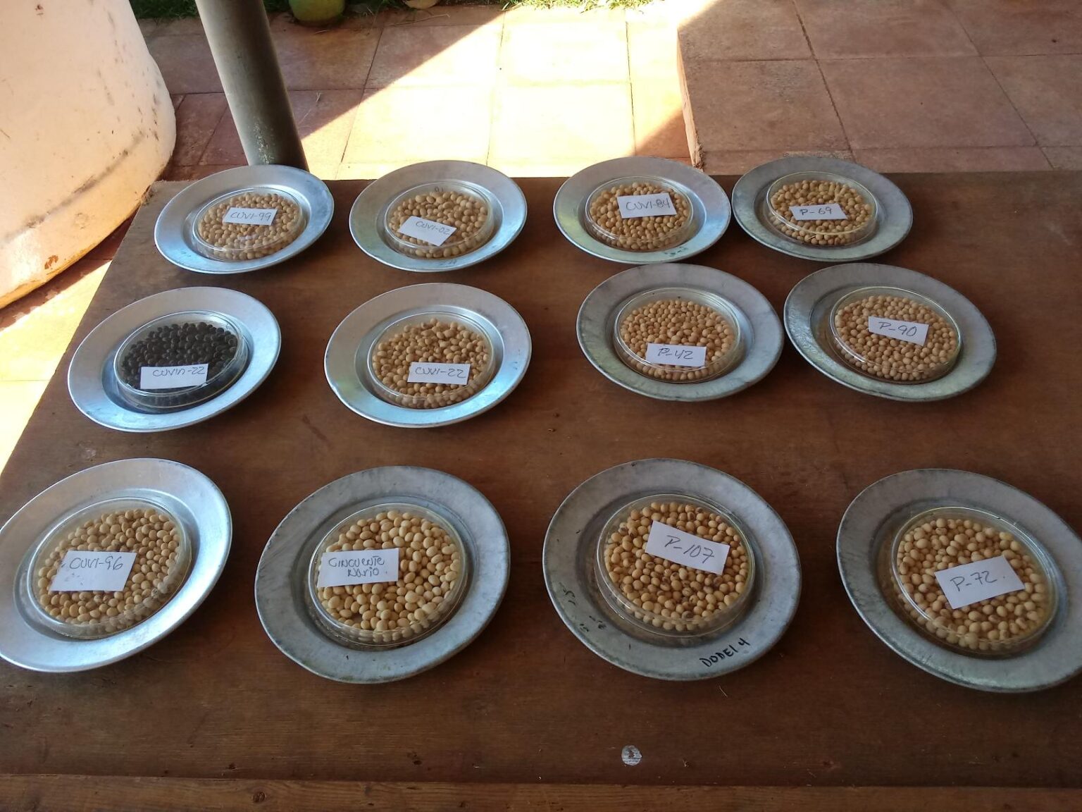 Cultivarán en Mayabeque nuevas variedades de soya y frijol de mayor calidad.