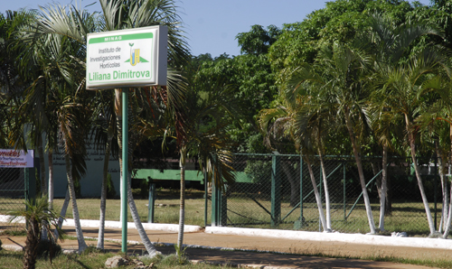 Liliana Dimitrova Horticultural Research Institute.