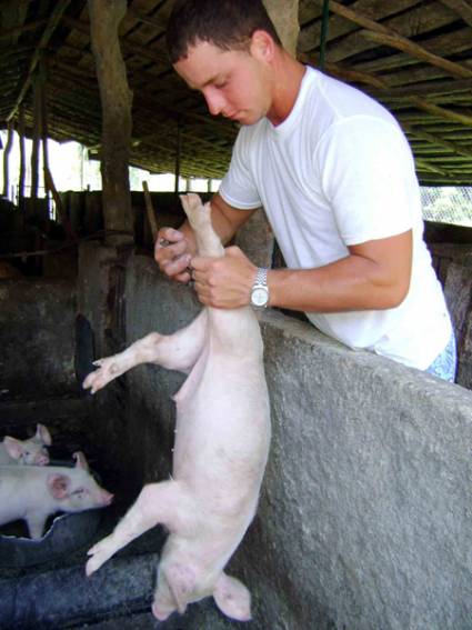 Iniciará en Mayabeque proceso de acreditación para servicios veterinarios por cuenta propia.