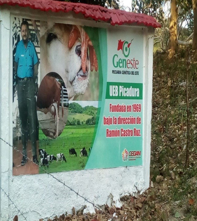 Genetic Cattle Company of the East of Madruga.